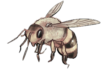 bee